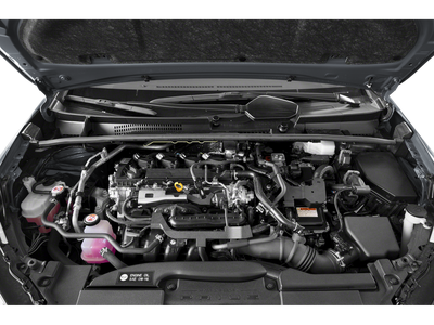 2024 Toyota Prius XLE