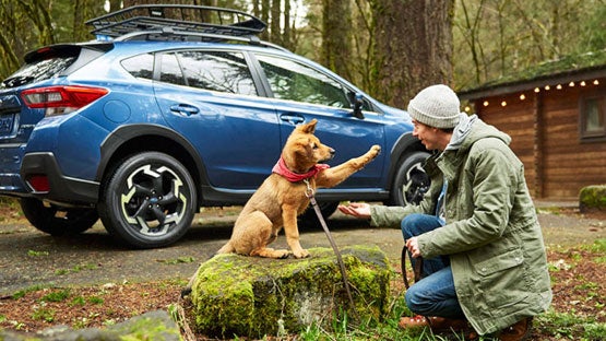 Mark Miller Subaru South Towne in Sandy UT
