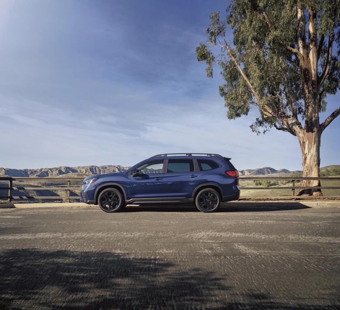 2026 Subaru Ascent in blue parked in profile at a desert overlook