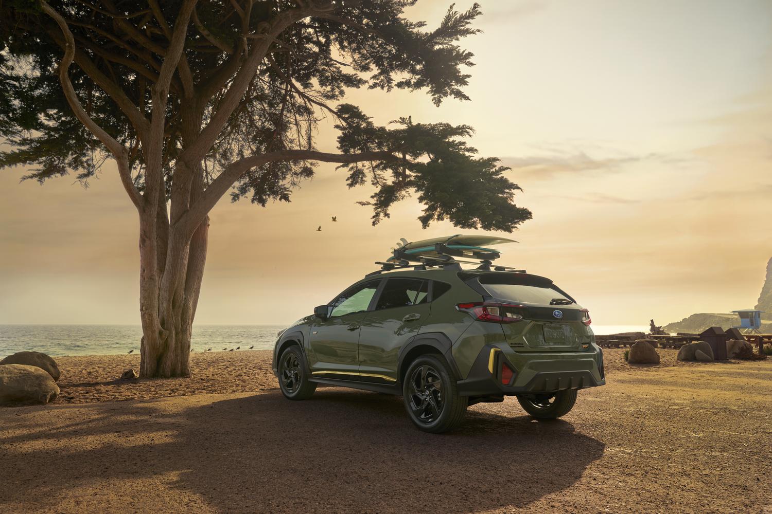 2026 Subaru Crosstrek in green parked under a cypress tree at sunset