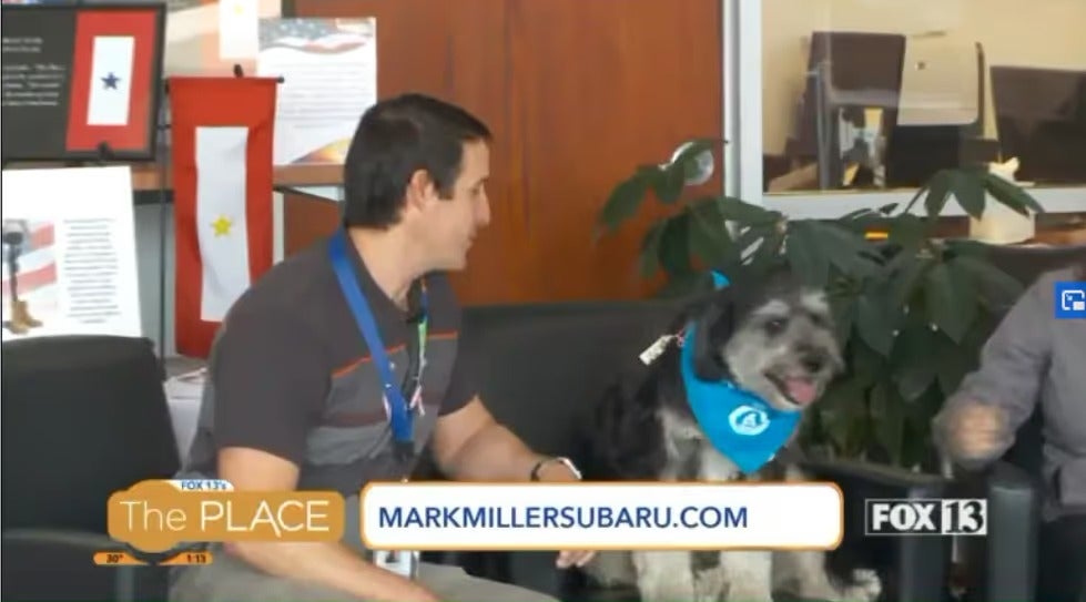The PLACE television segment filmed at Mark Miller Subaru with an adoptable dog