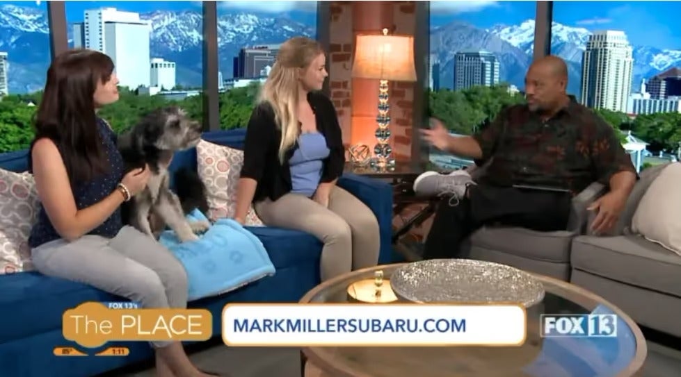 Television segment featuring a guest and a rescue dog on a studio couch