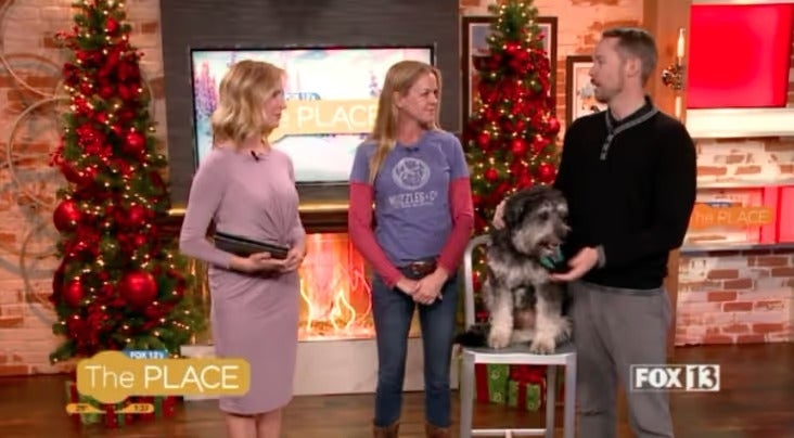 Holiday television segment featuring an adoptable dog beside a Christmas tree